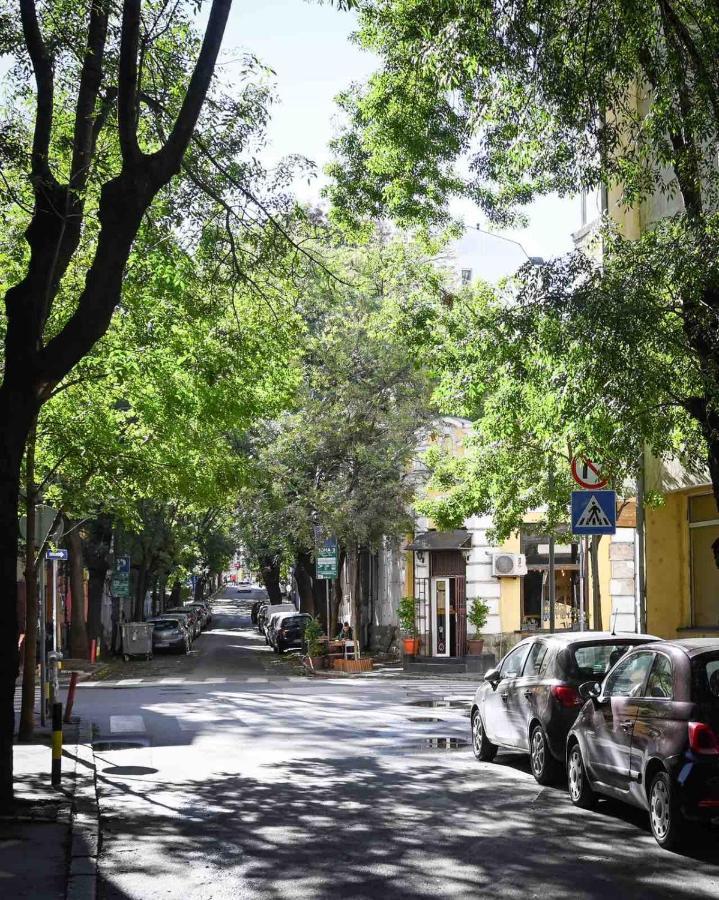 Step Apartments Belgrad Zewnętrze zdjęcie